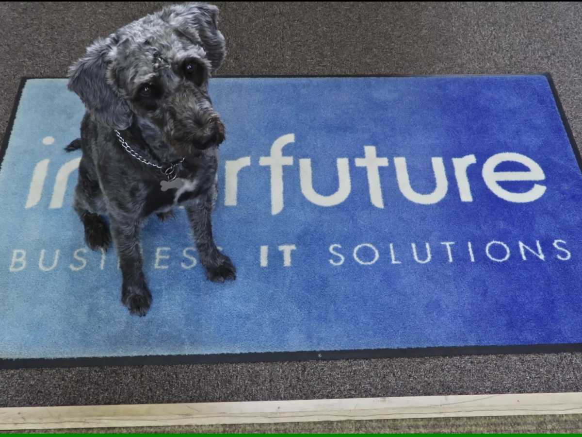 Photo of our office dog